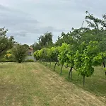 Lovely In Loire For 10 Prázdninový dům Saint-Laurent-du-Mottay