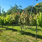 Lovely In Loire For 10 *