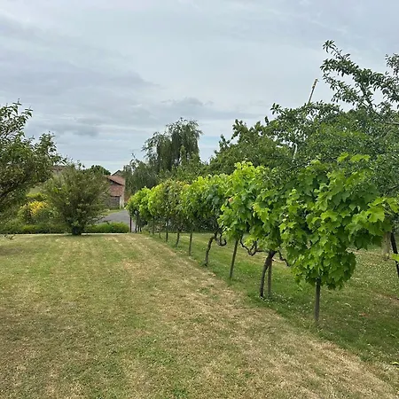 Lovely In Loire For 10 Ferienhaus Saint-Laurent-du-Mottay