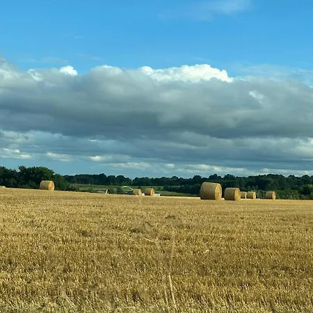 Lovely In Loire For 10 度假居 Saint-Laurent-du-Mottay