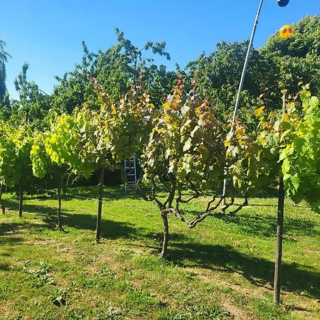 Lovely In Loire For 10 *